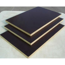 Marine Plywood Film Faced Plywood for Construction